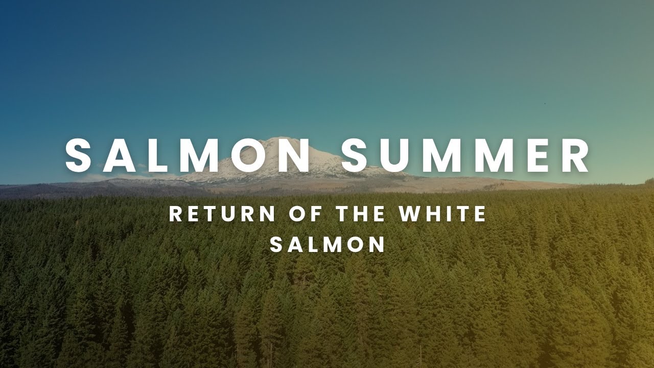 Salmon Summer - White Salmon River