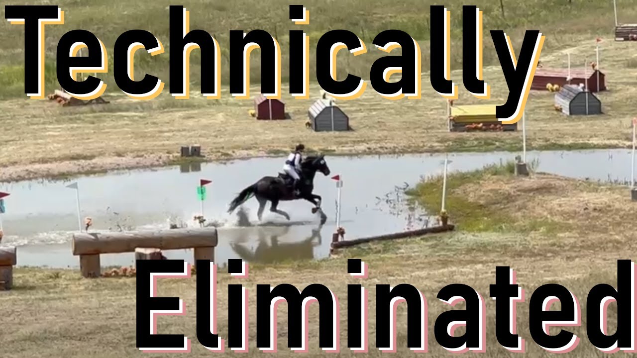 I Made a Stupid Mistake and Got Technically Eliminated ║ Cav ║ Eventing ║ Horse Show