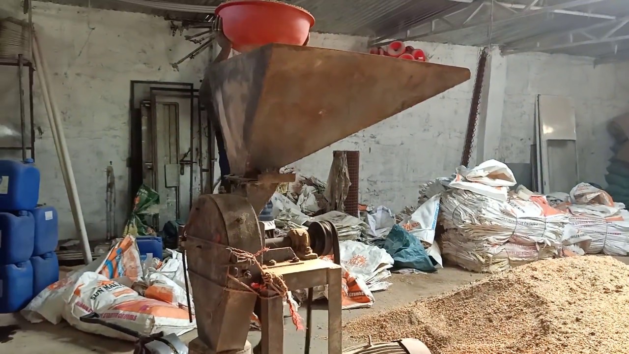 10% से फीड बनाने का सही  तरीका सीखें 7000834751