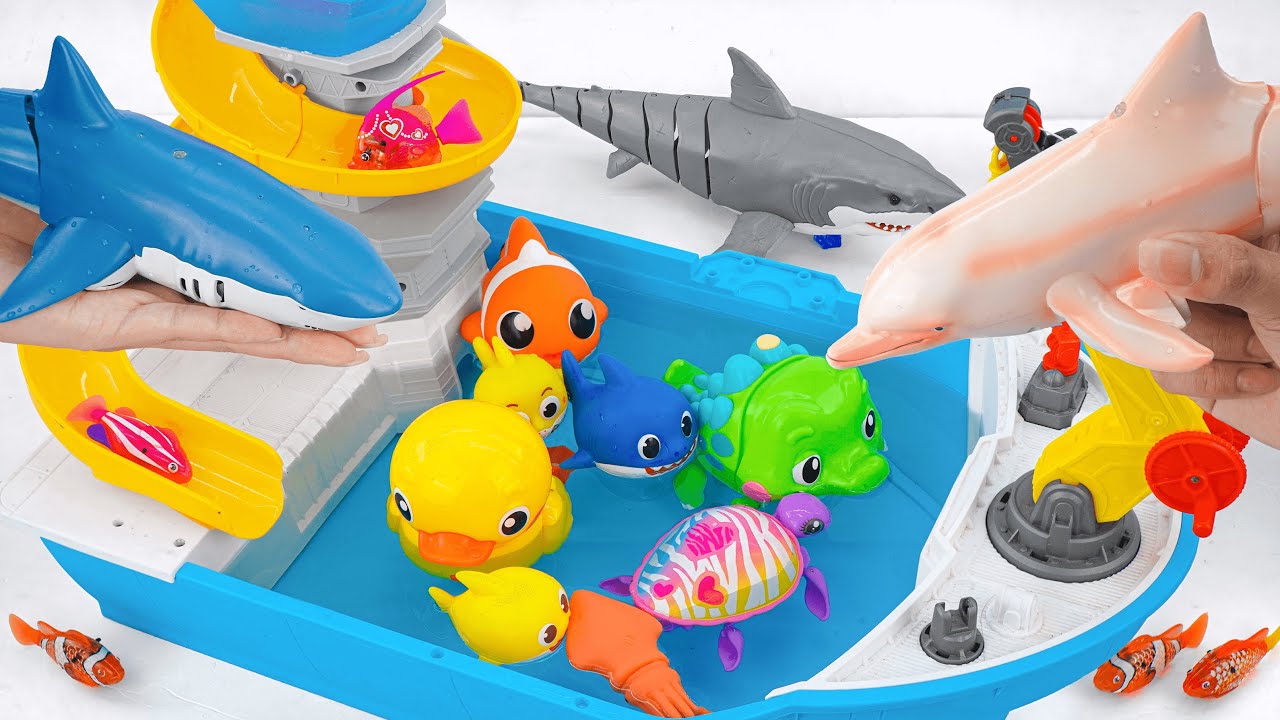 [Toy asmr] RC Whale & RC Dolphin & Baby Shark & Nimo Fish & ZURU Boat ASMR Satisfying with Unboxing