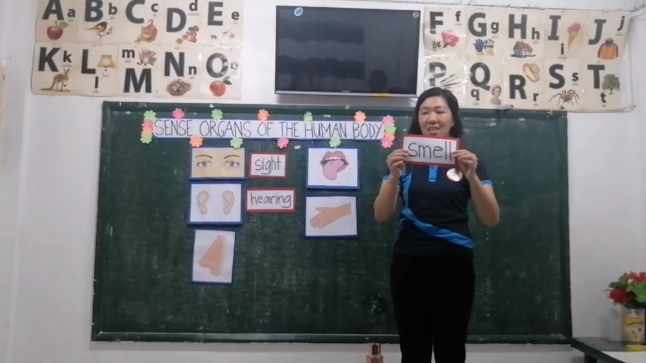 Teaching Demonstration - Sense Organs of the Human Body
