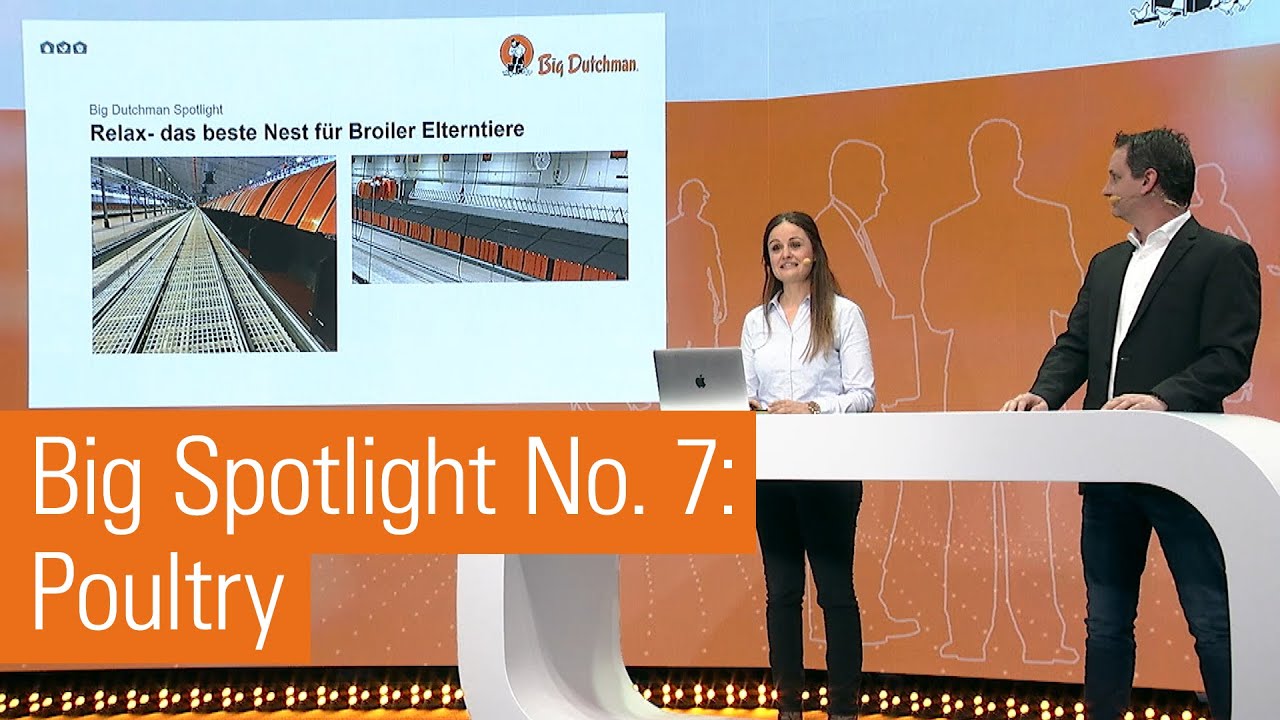 Big Spotlight No. 7 |   Relax &ndash; the best nest for broiler breeders