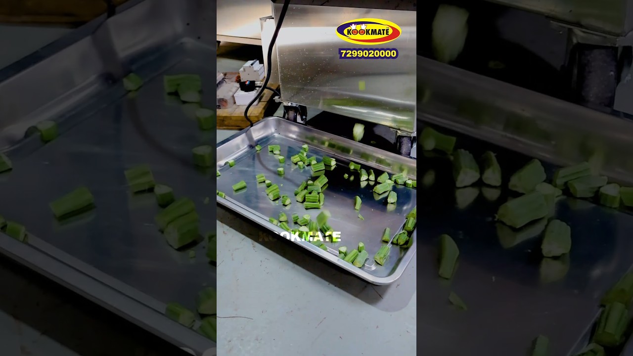 500 Kg/Hour Vegetable Cutting Machine 🔥 Onion & Potato Slicing | Cubing Made Easy 