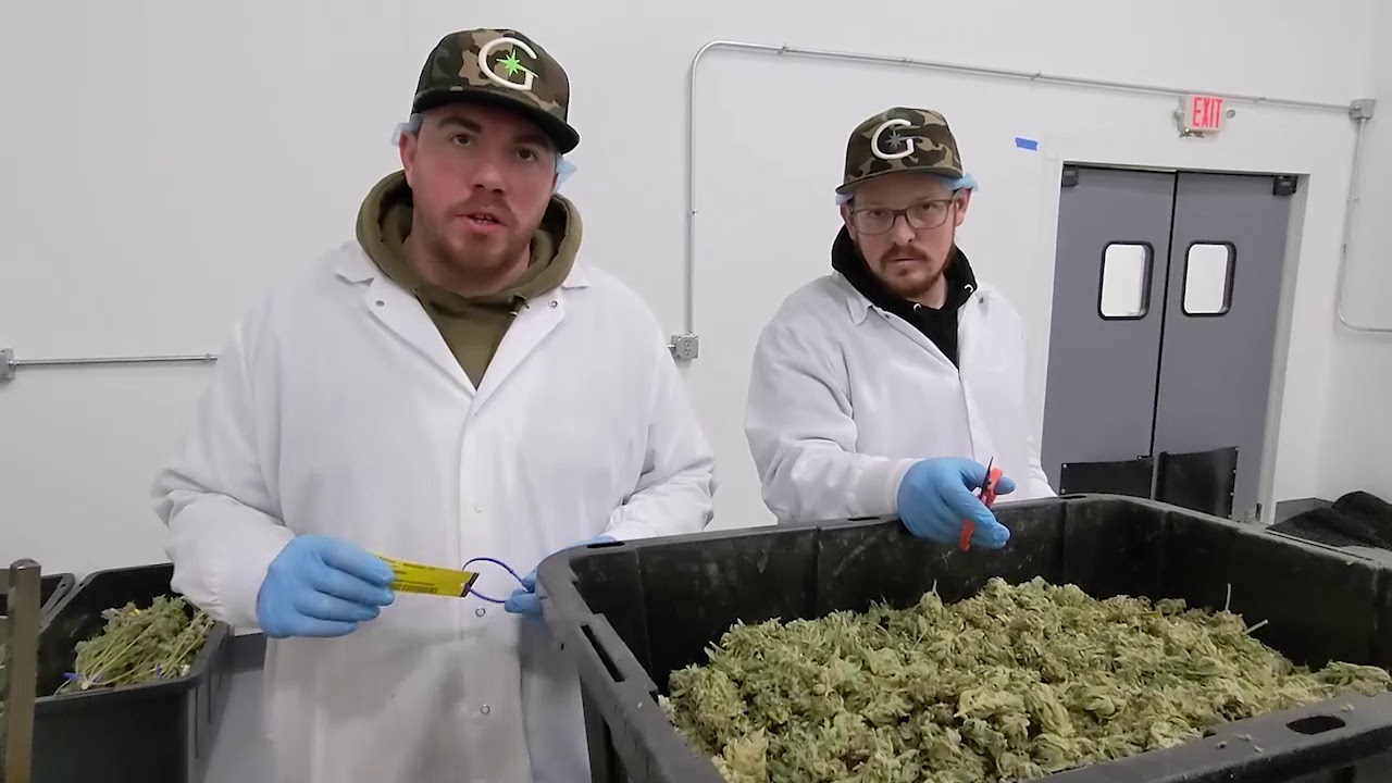 Part Five : Trimming + Packaging
