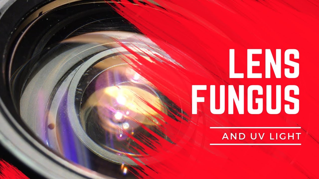 Lens Fungus & Ultra Violet Light.