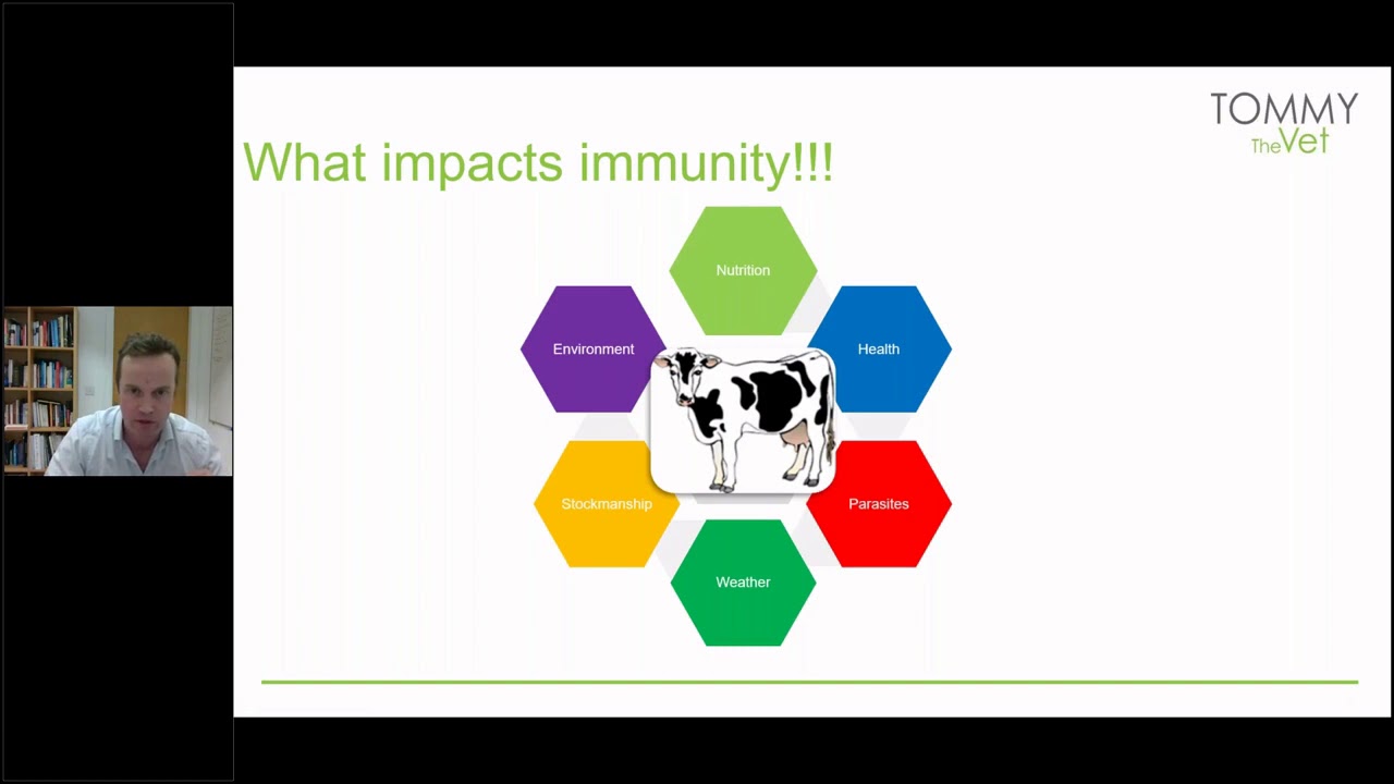 Tommy Heffernan on cattle herd health