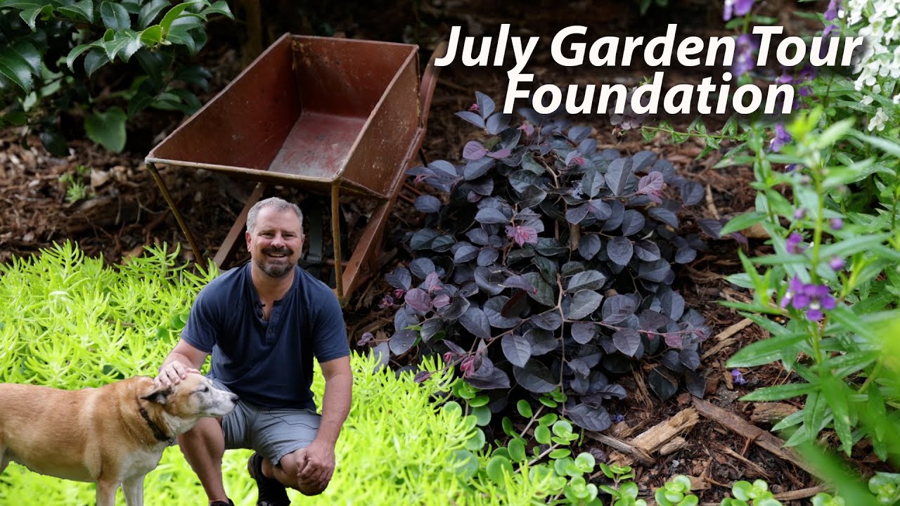 July Garden Tour - Foundation Planting