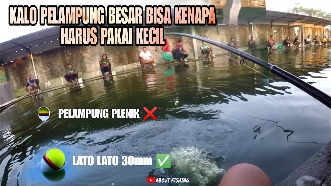 Mancing Galatama Bawal Dengan Umpan Kacang Presto Besar Disetting Dengan Pelampung Besar