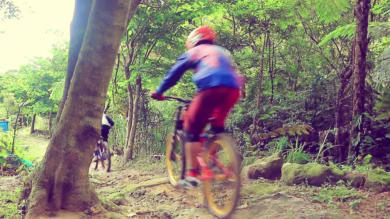 taiwan mtb trail #dingpu trail