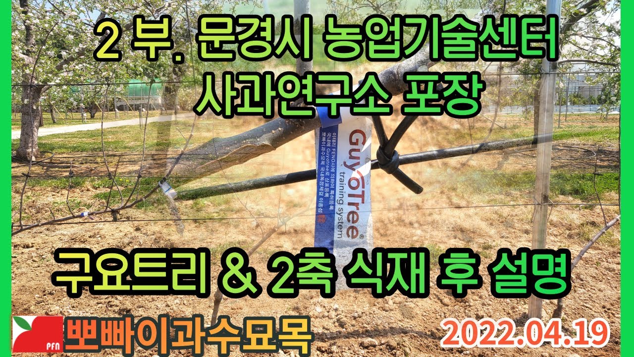 [ 2부 ] 문경시농업기술센터 사과연구소 구요트리 식재 후 설명 2022.04.19  [뽀빠이과수묘목]