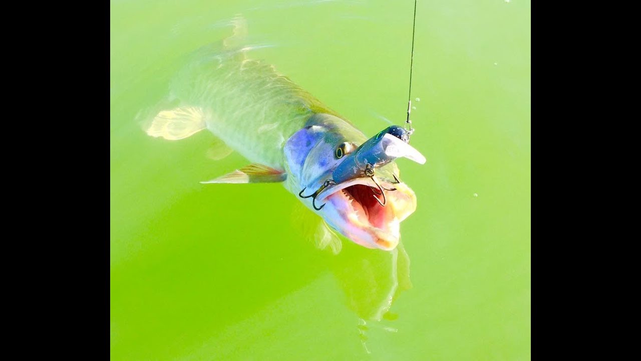 Must Have Musky Lure - Llugen .22 Short