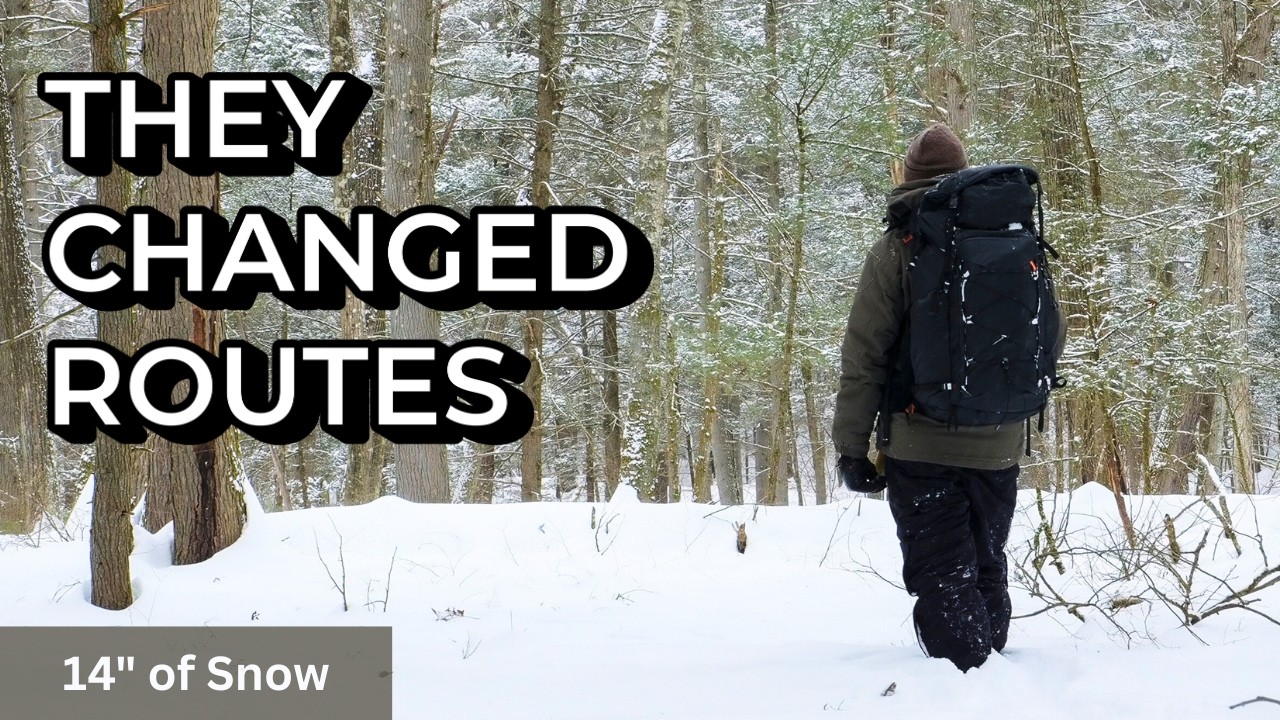How Deep Snow Changes Wildlife Movement | Wildlife Photography Behind the Scenes