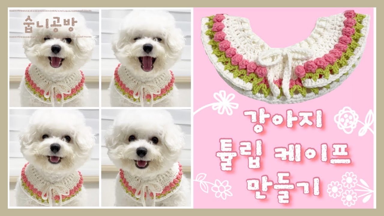 [숩니공방] 강아지 코바늘 튤립 케이프 / 고양이케이프 / crochet dog collar
