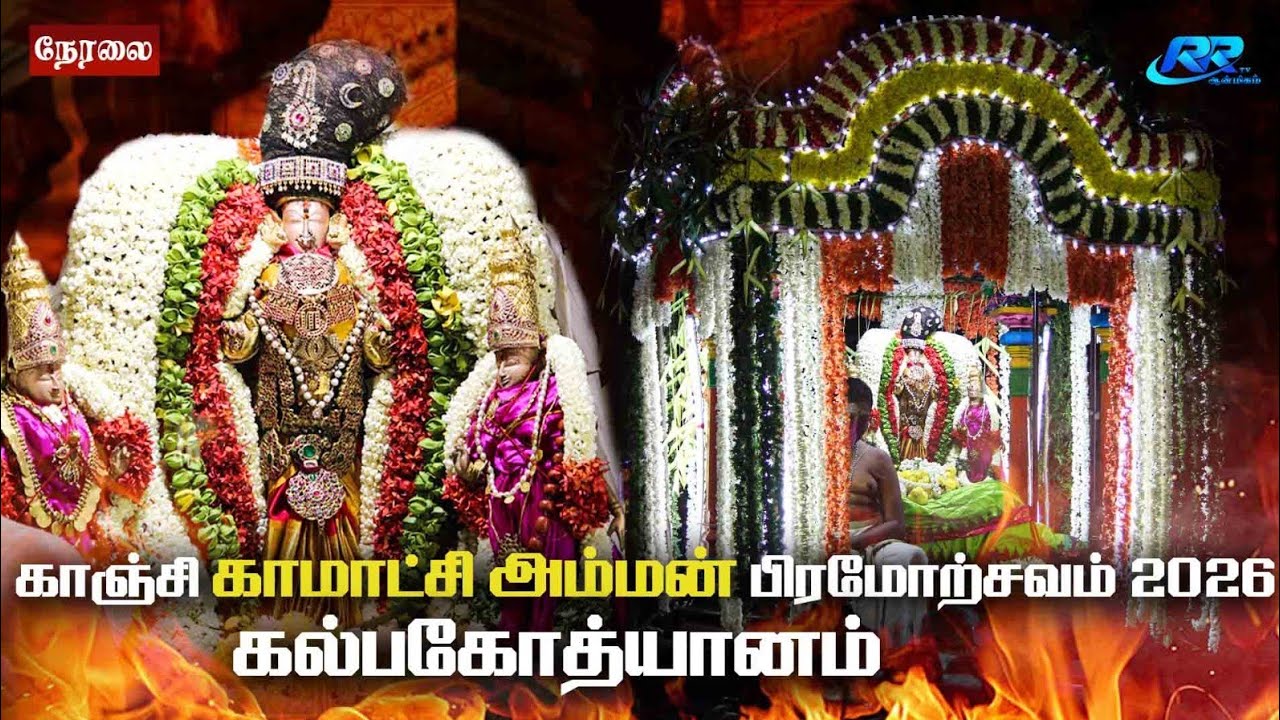 LIVE : கல்பகோத்யானம் காஞ்சி காமாட்சி அம்மன் கோவில் பிரம்மோற்சவம் 2026 நேரலை@RR tv
