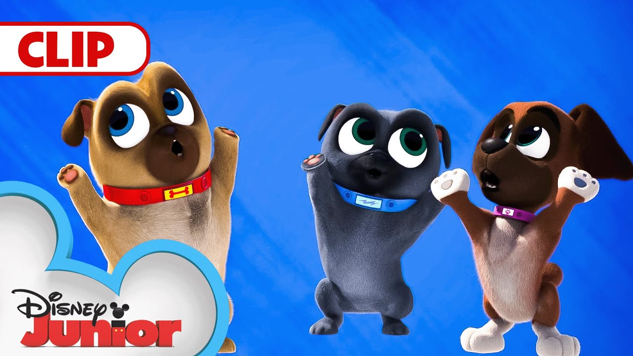 The Lullaby Crib 👶 | Puppy Dog Pals | @disneyjr