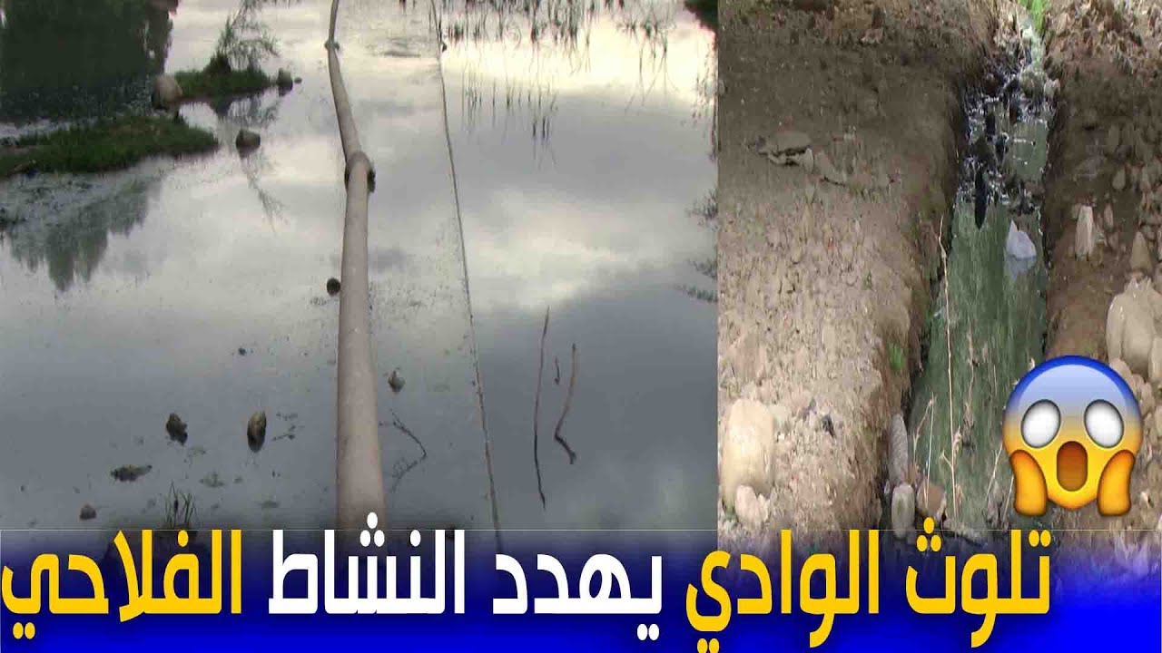 الشلف | تلوث وادي 