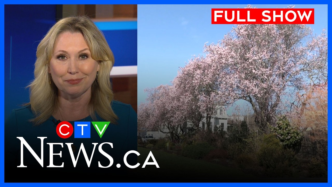 Vandalism at seaside park | CTV News Vancouver Island  | March 5, 2026