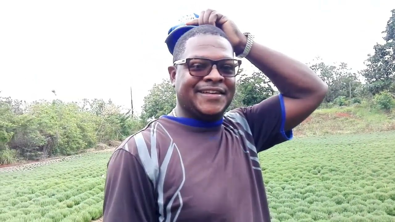 HE OWNS ONE OF THE LARGEST THYME FARM IN JAMAICA/21 YRS FARMING THYME IN JAMAICA/INSPIRATIONAL STORY