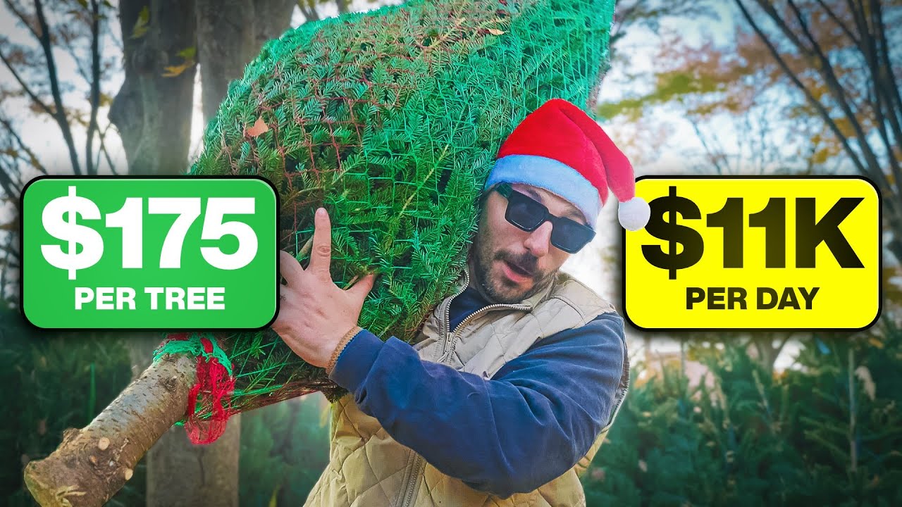 The Wild Logistics of New York’s Christmas Tree Economy