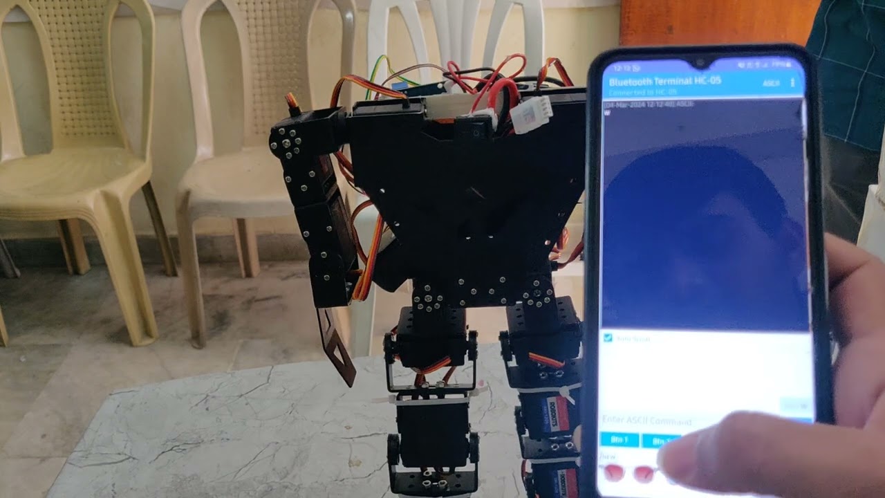 Biped Walking Robot