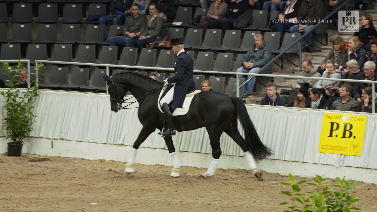 Goldberg und Hubertus Schmidt - 29. PB-Schau in Verden
