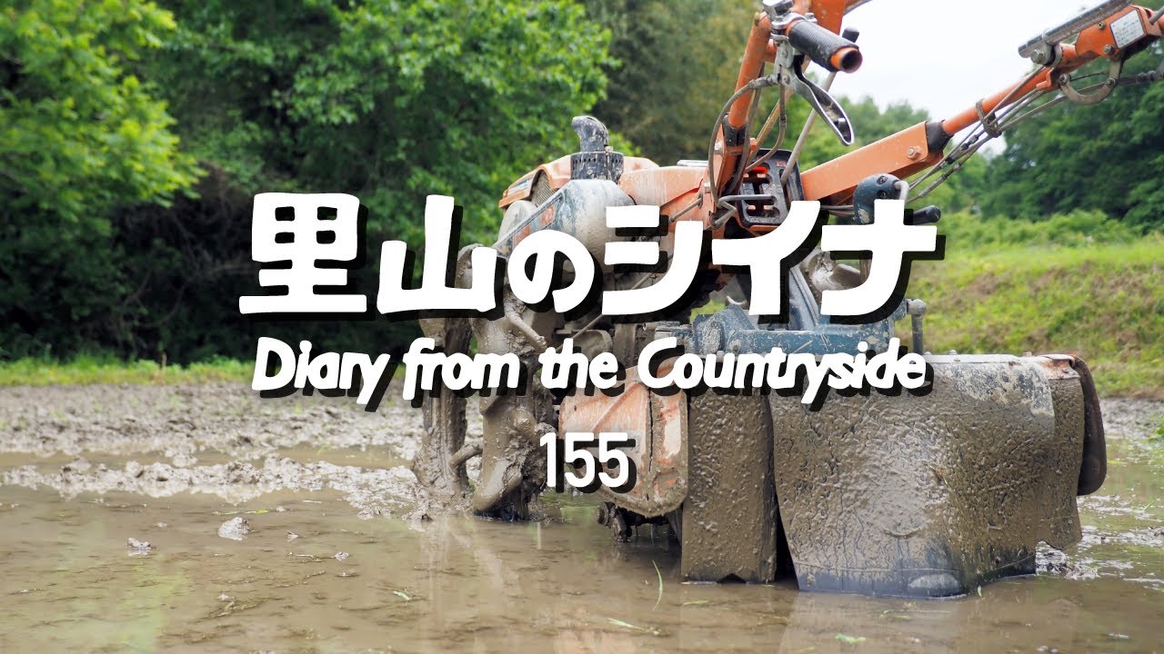 田舎暮らし 155：田植え前に耕耘機が故障！ / 田んぼの代かき / 新しい田植え機