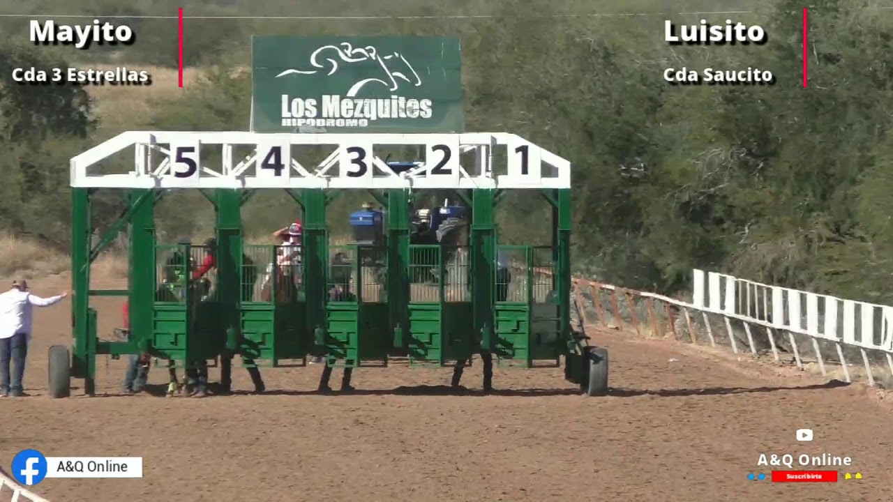 Luisito vs Mayito 15/02/26 en HM