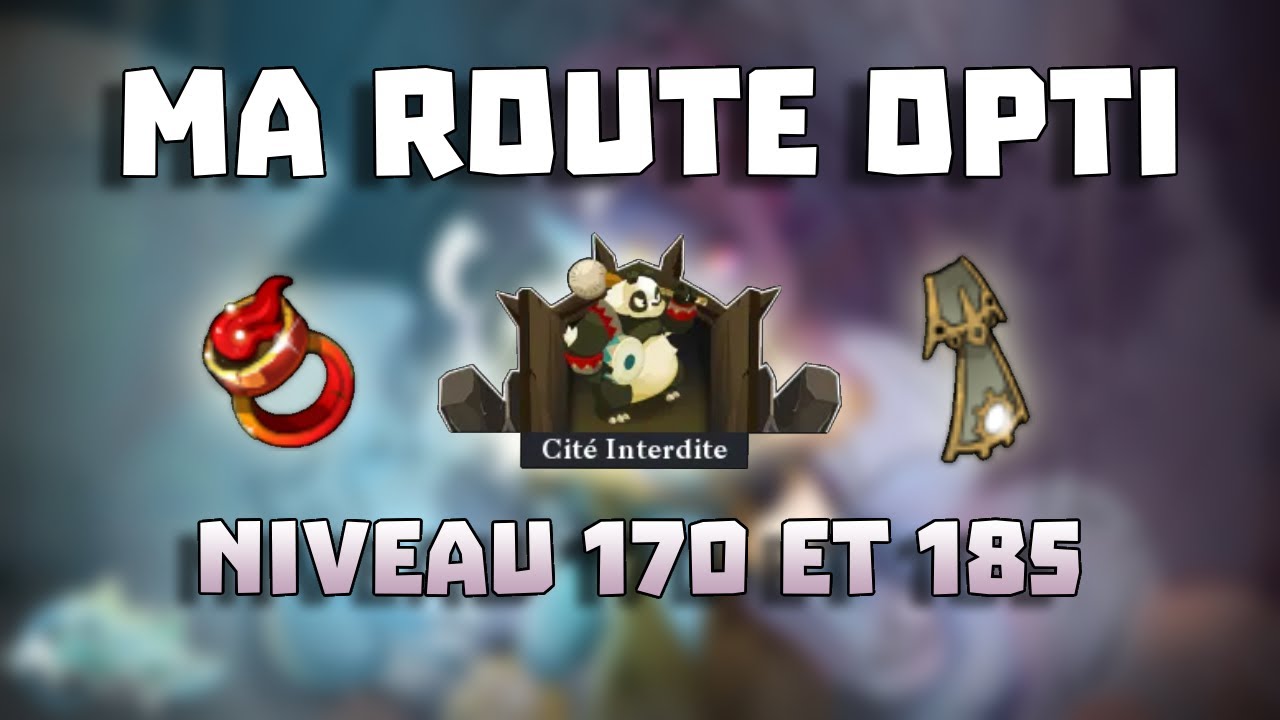 WAKFU : Ma ROUTE OPTI du Niveau 170 et 185 (up 200)