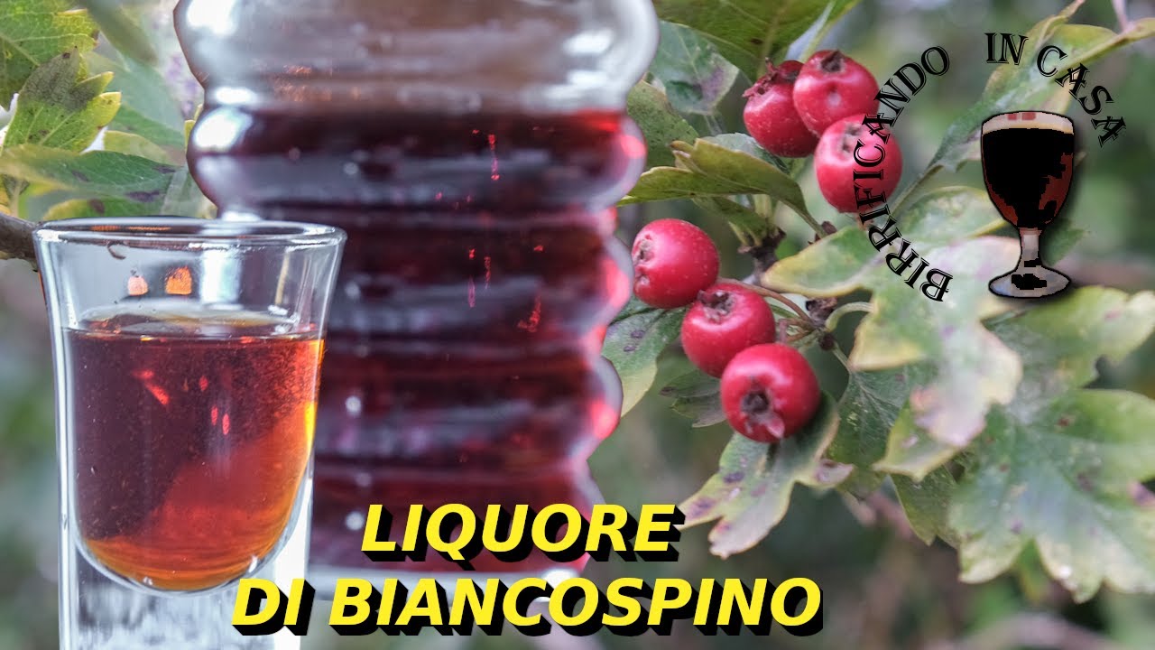 Liquore al biancospino fatto in casa