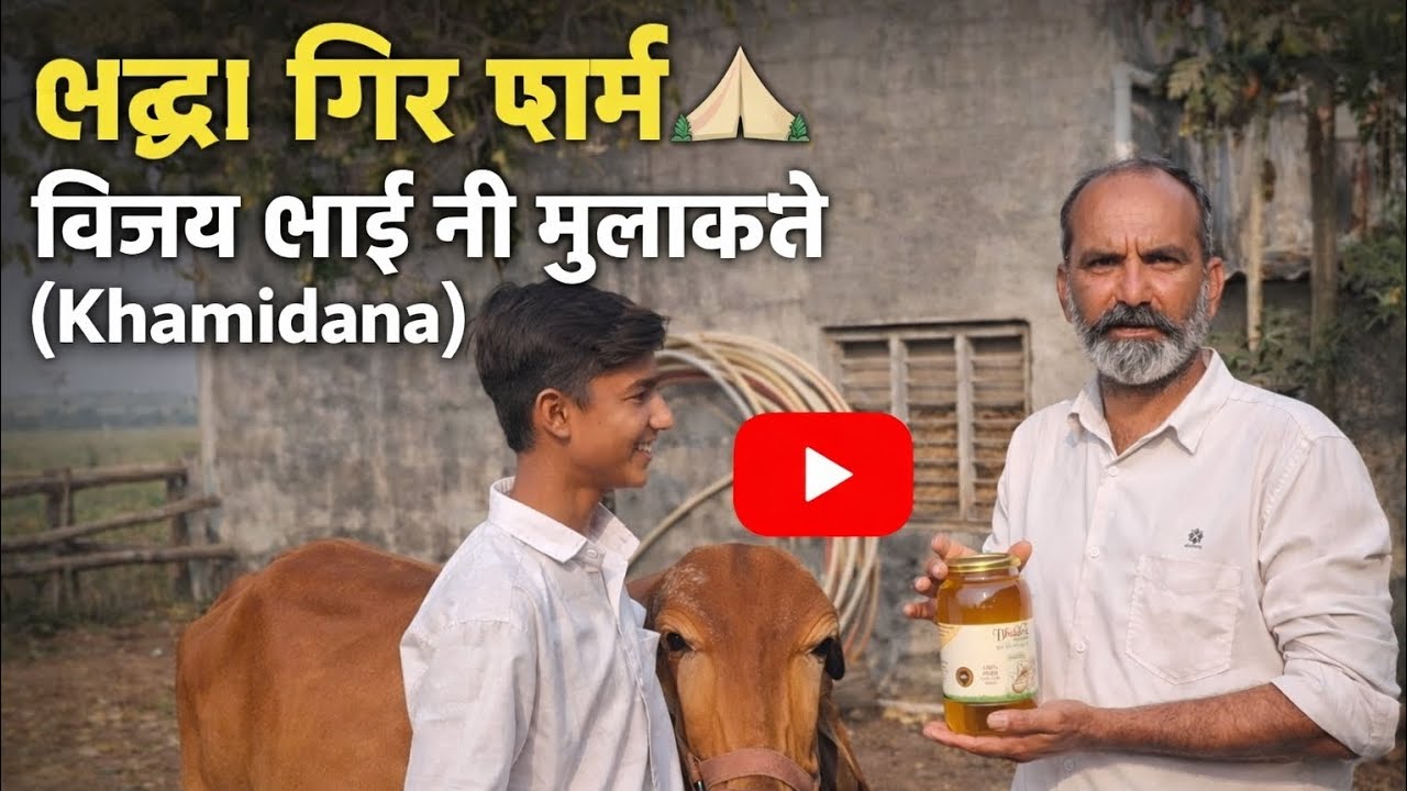 ભદ્રા ગીર ફાર્મ 🏕 વિજય ભાઈ ની મુલાકાતે (Khamidana)