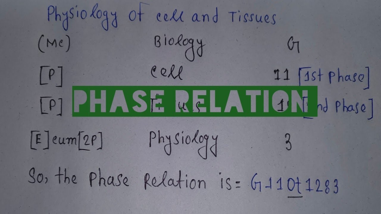 LibraryScience Phase Relation|BLIS Phase Relation Practical|BLIS Phase Relation|