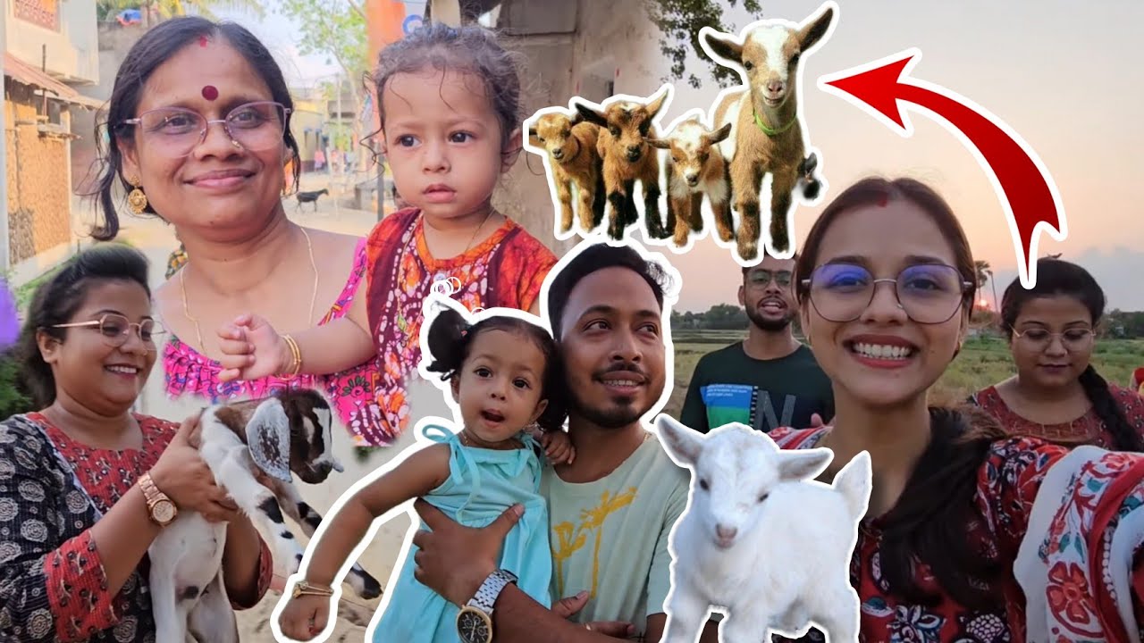 ছাগলছানা দেখে রুহি কি করছে দেখো😱😱😱 | রুহি মামাবাড়ি এসে সারাদিন দৌড়াচ্ছে গরু ছাগল দেখবে বলে 🤣🤭😍