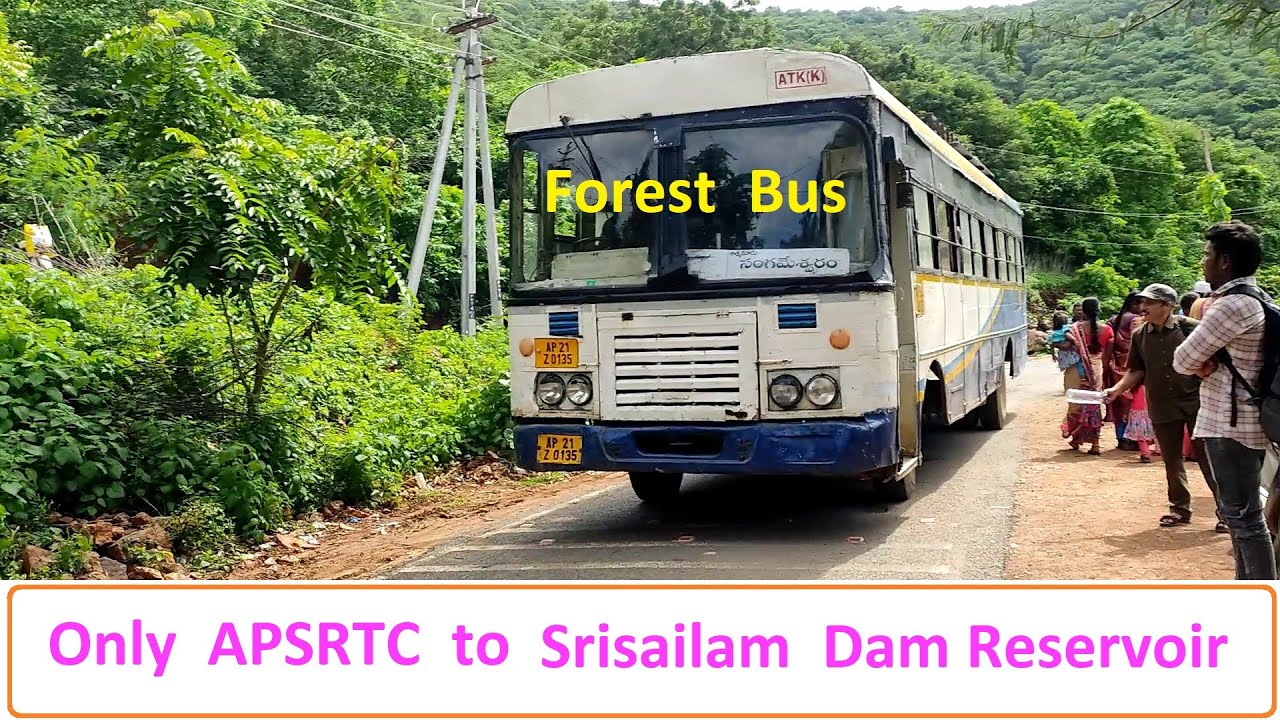 Only APSRTC to Srisailam Reservoir - Sangameshwaram Temple