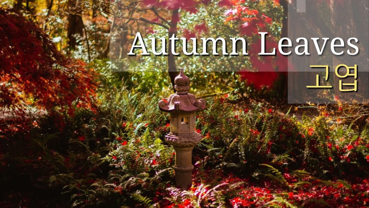 Autumn Leaves (고엽) with Lyrics (arr. Steinhauer)