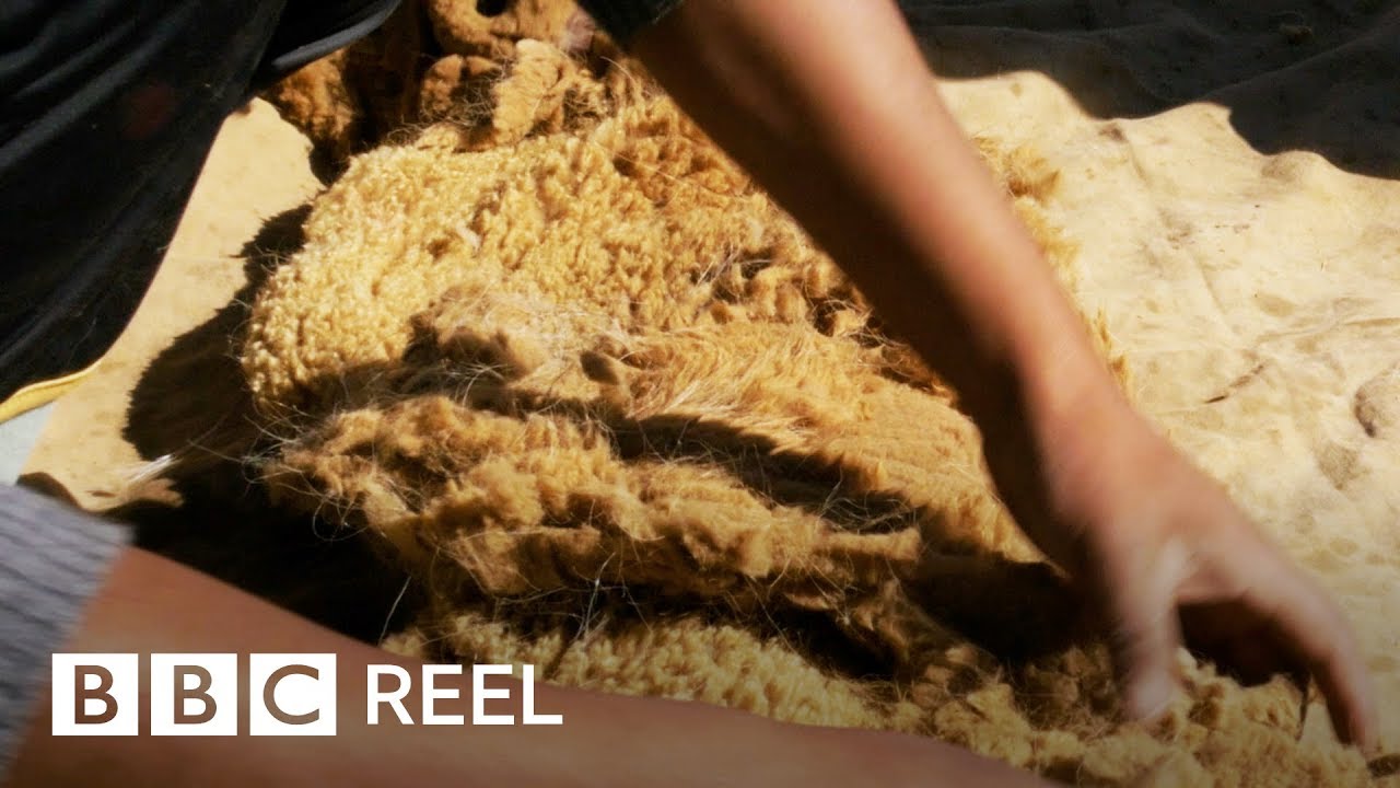 The rarest fabric on Earth - BBC REEL