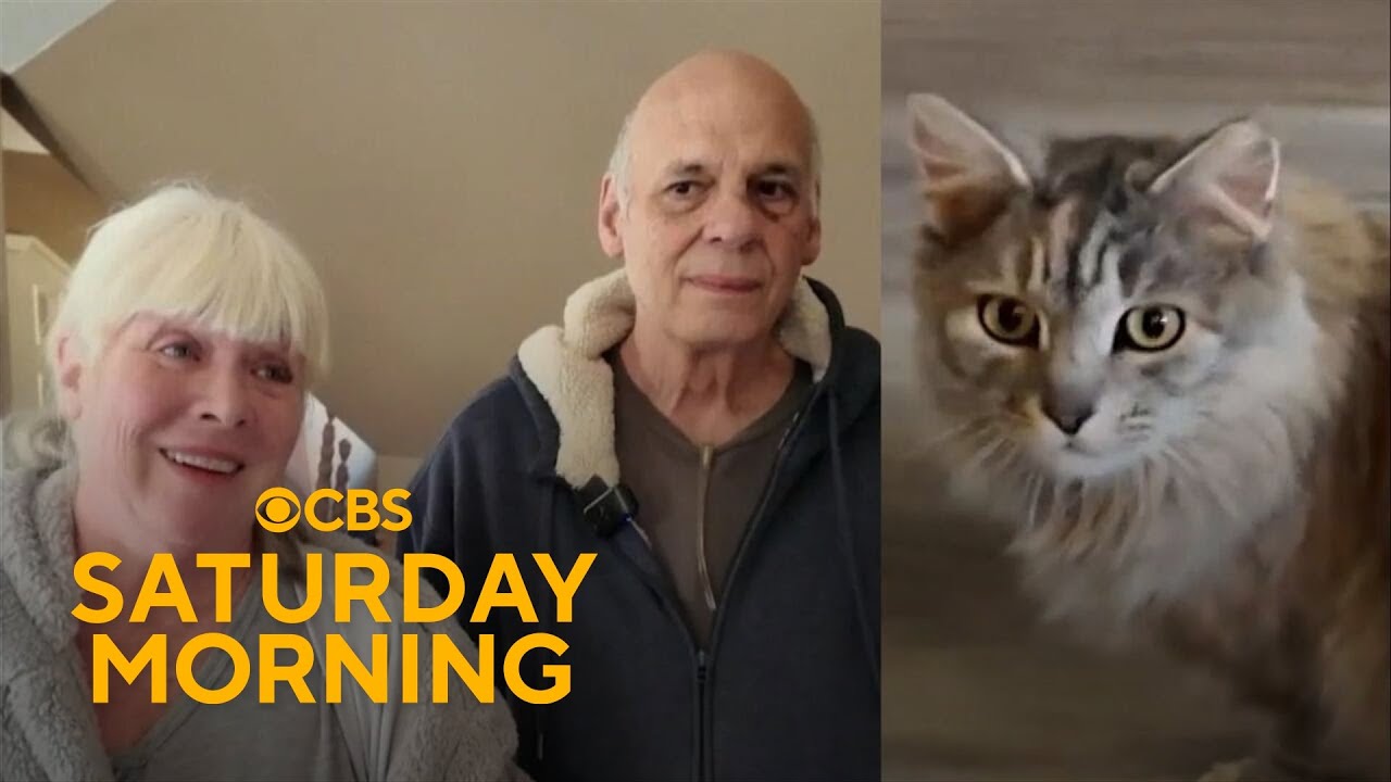 Family reunites with cat more than 400 days after Hurricane Helene