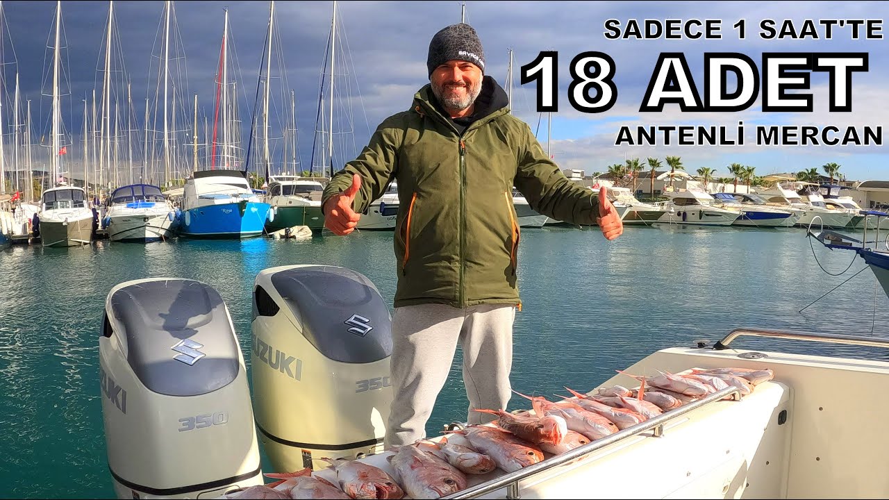 1 SAAT'TE  18 ADET  ANTENLİ MERCAN YAKALADIK