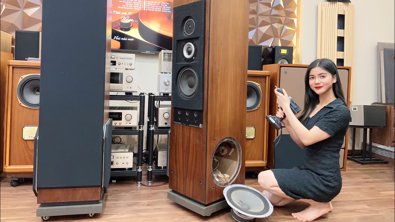 Khám phá NỘI THẤT PHÂN TẦN siêu KHỦNG của loa AR9 - loa KHỦNG LONG BẠO CHÚA công xuất 800w nặng tạ 2