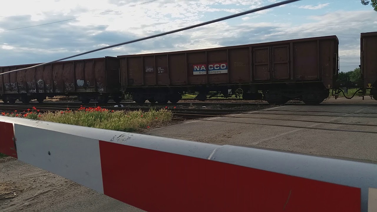 MMV SULZER &eacute;rkezik H&oacute;dmezőv&aacute;s&aacute;rhelyre.