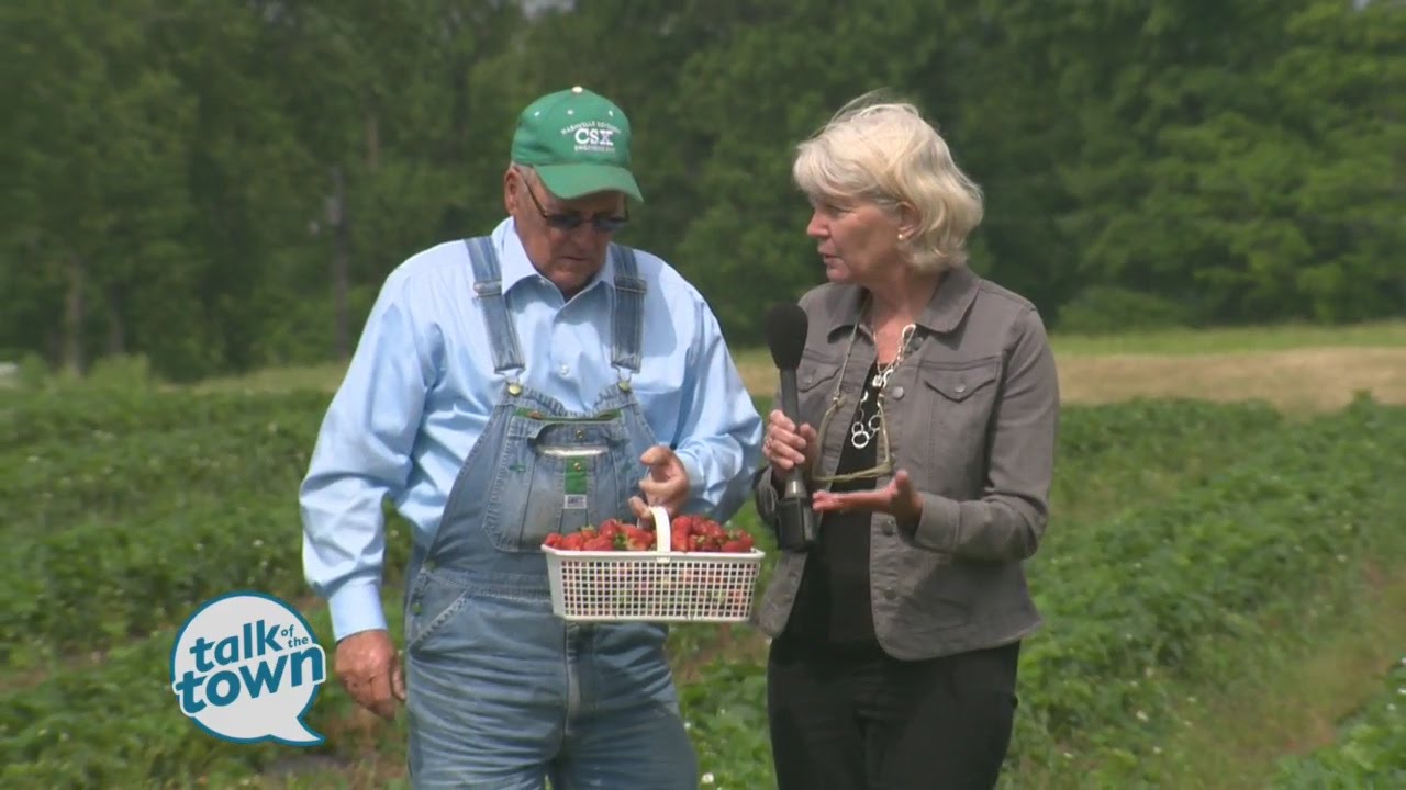 Ms. Cheap Picks Strawberries