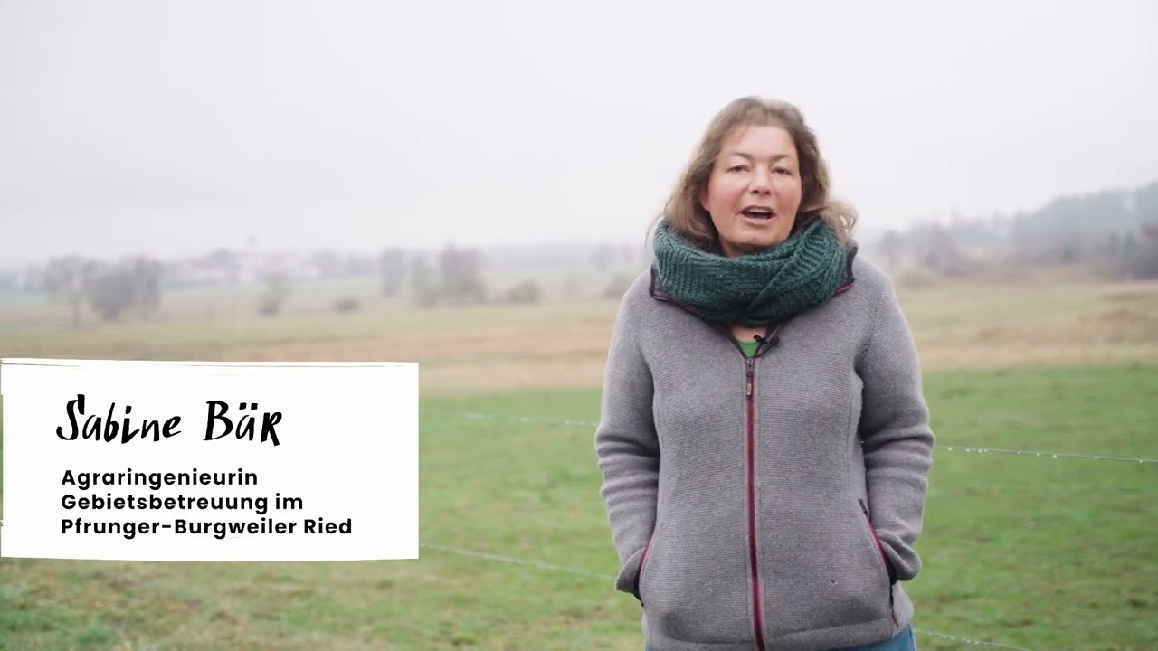 Making of #meinschussental Klimaschutz im Pfrunger-Burgweiler Ried