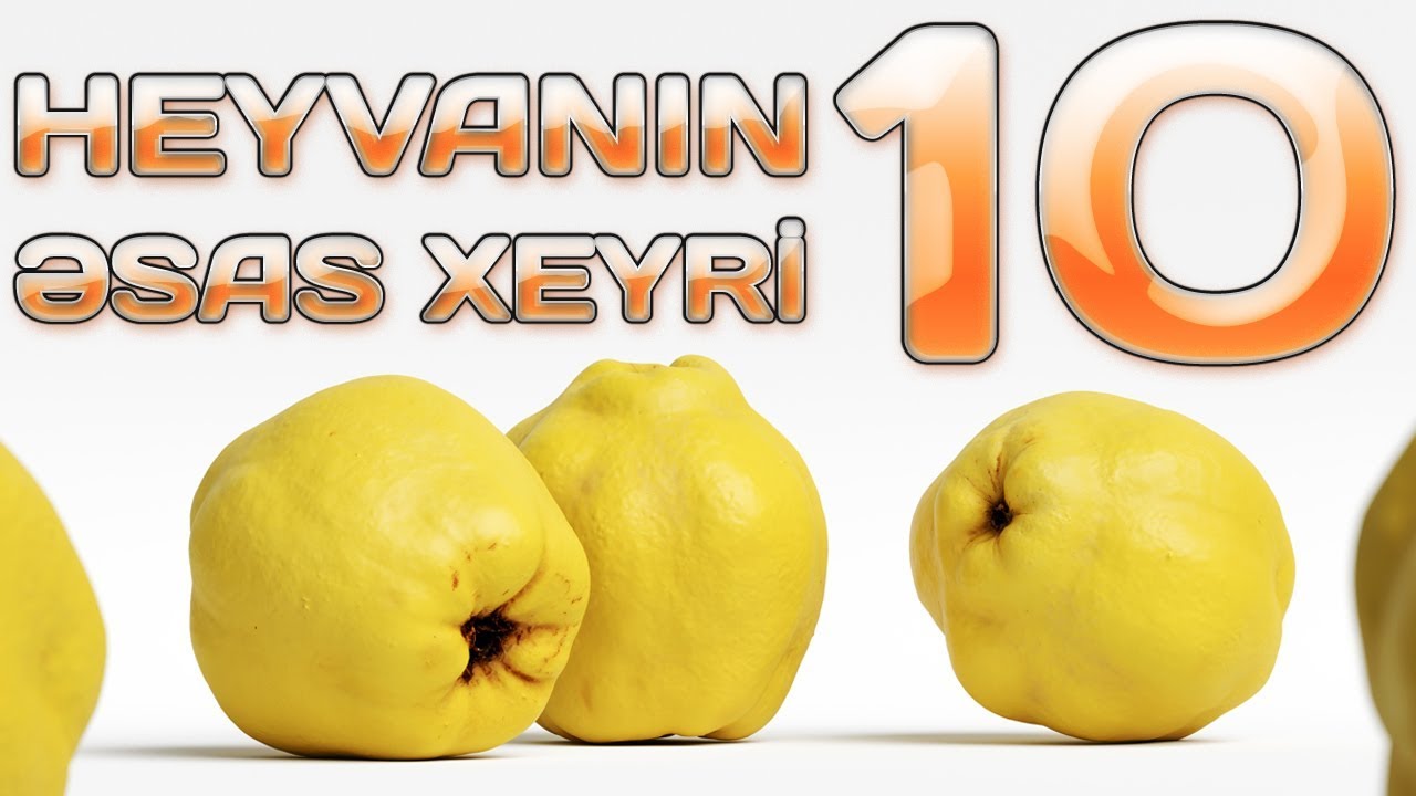 HEYVANIN 10 ƏSAS XEYRİ