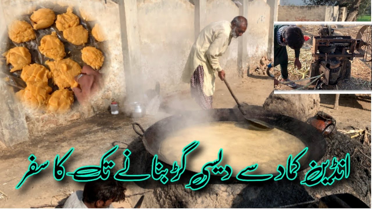 Indian Kamad Se Desi Gur Banane Tak Ki Mukammal Jankari #farming #IndianKamad #knowledge 