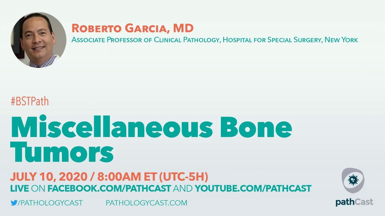 Miscellaneous bone tumors - Dr. Garcia #BSTPATH
