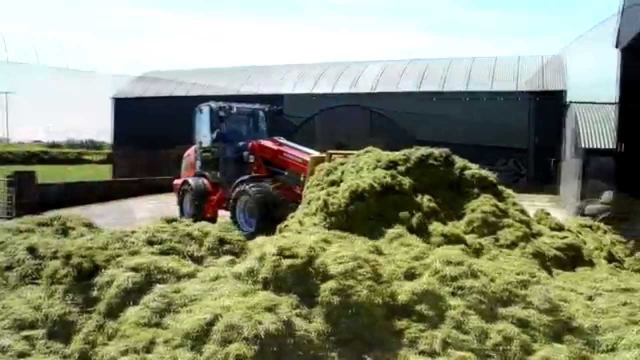 WEIDEMANN 4080T BUCKRAKING
