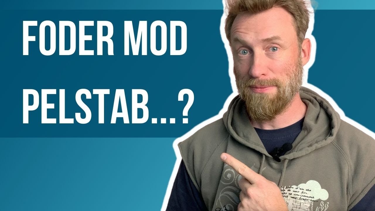 Hundefoder i mod hårtab - Hvad betyder foderets protein for pelskvaliteten?