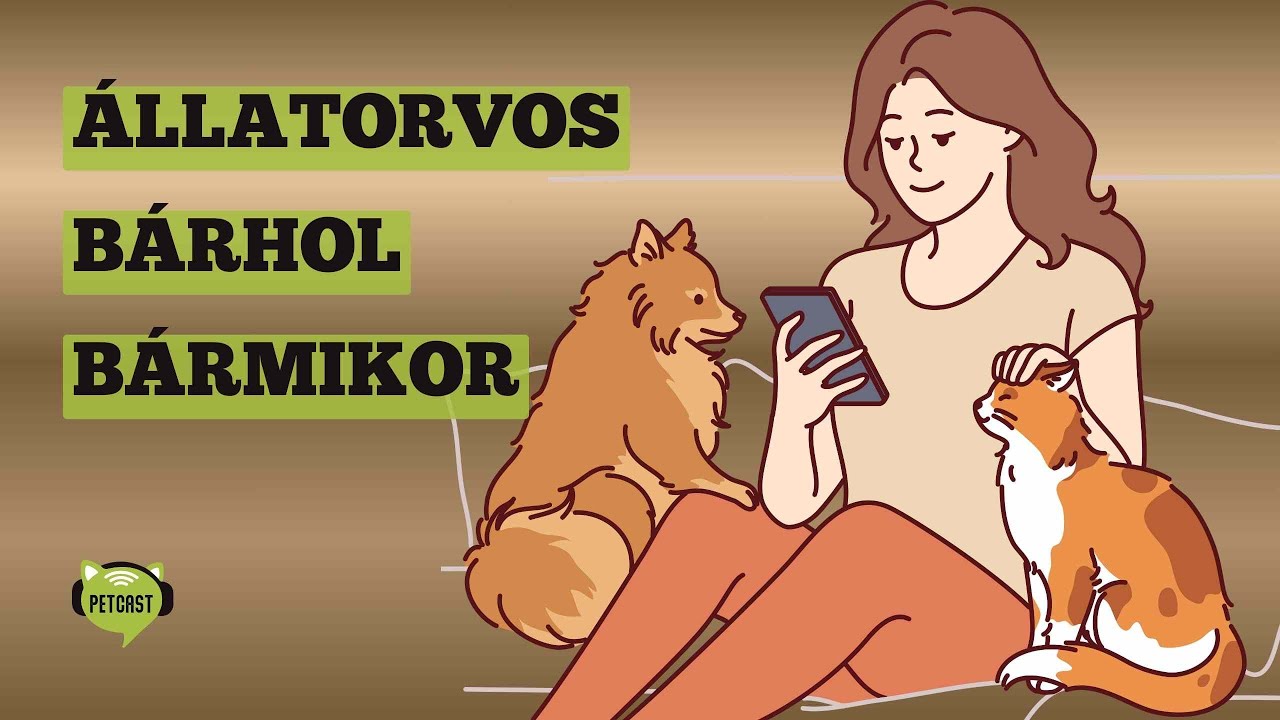 Állatorvosi chat – Mikor elég az online konzultáció, és mikor nem?
