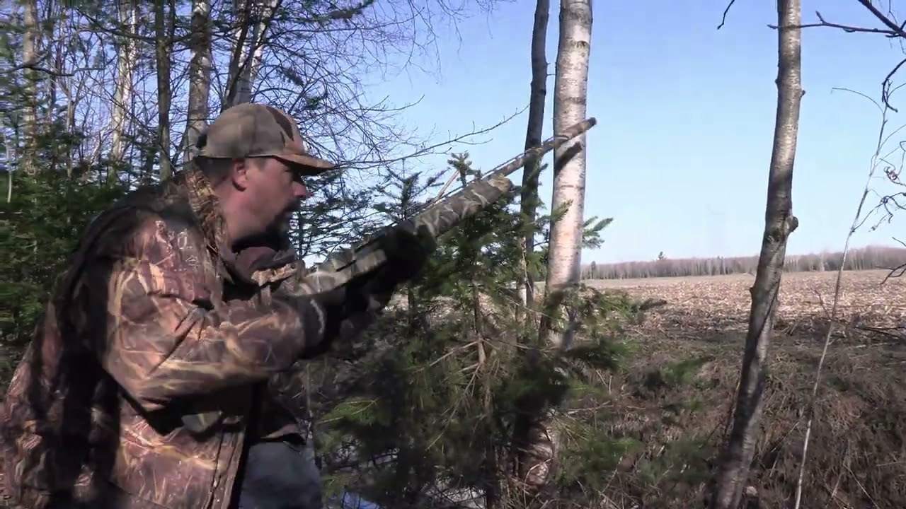 Chasse du Dindon sauvage 2022 Wild Turkey Hunt Qu&eacute;bec Canada Le Show de plume S3 E2