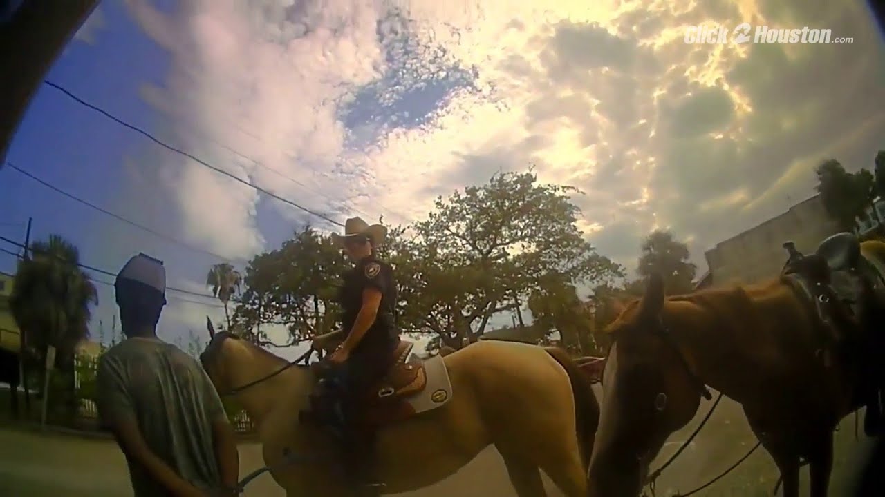 Second body cam video of Donald Neely arrest released