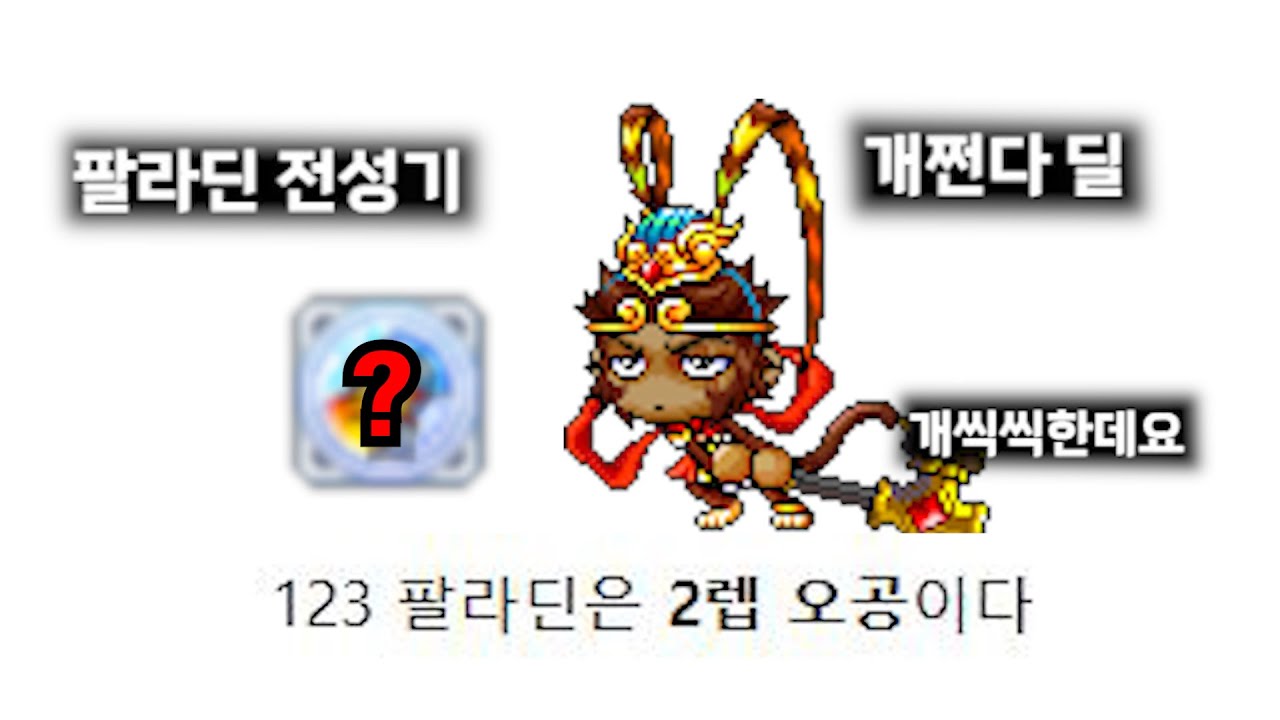 2렙오공 팔라딘